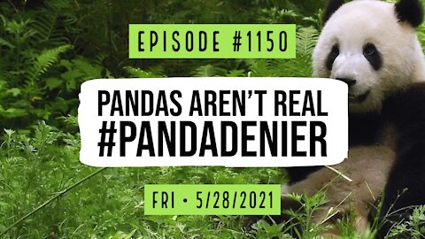 #1150 Pandas Aren't Real #Panda Denier