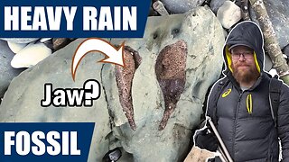 Heavy rain, flooding and some awesome fossil finds including a potential jaw section
