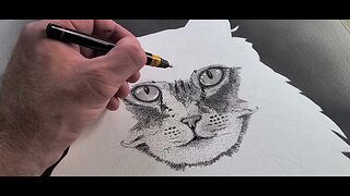 Drawing a Cat. Ink Pen and Ink Wash on Watercolor Paper