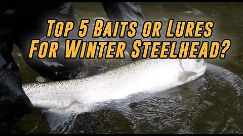 TOP 5 Baits Or Lures For Catching Winter Steelhead