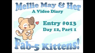 Video Diary Entry 013: Day 12, Part 1 Talitha, Tali For Short