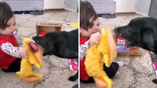 Toddler And Doggy Share Preciously Fun Moment Together