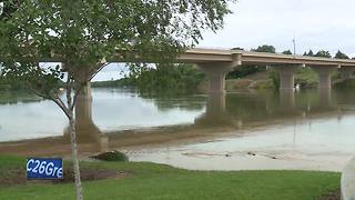 Flooding brings fish to a coffee shop