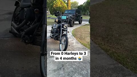 Harley Davidson has changed my life #harleydavidson
