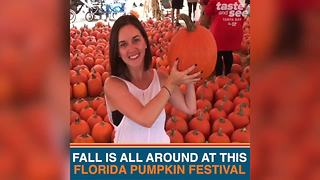 Celebrate fall at this Florida pumpkin festival in Bradenton | Taste and See Tampa Bay