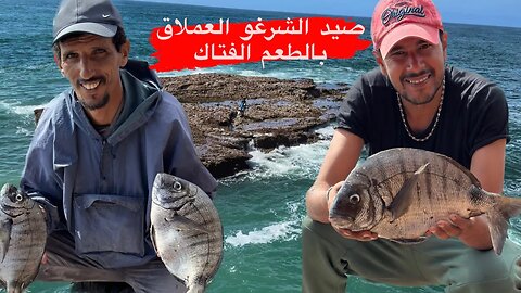 طعم فتاك و مصيد جيد يعني اسماك عملاقة .. مرحبا بكم في احسن مصيد جنوب سيدي افني - peche mirleft 2023