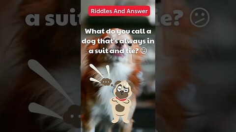 Dogs Riddle | Dogs Riddles in English | Riddles with Answer | Hard riddles | EP29 #shorts