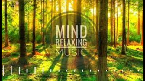 Relaxing Music Stress Relief • Meditation Music