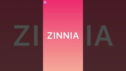 Zinnia Network and Smart contracts