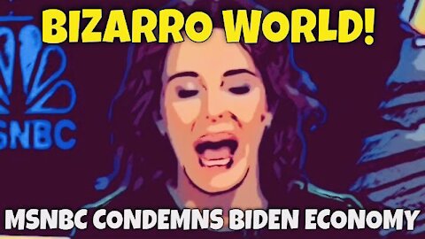 BIZARRO WORLD! MSNBC BLASTS Economic Advisor to Joe Biden!