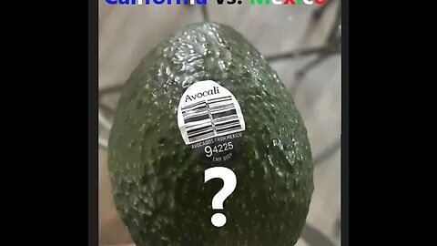 Avocados California vs Mexico Which is Better?