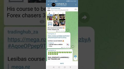 lesiba course leaked nicely follow tradinghub_za telegram and download