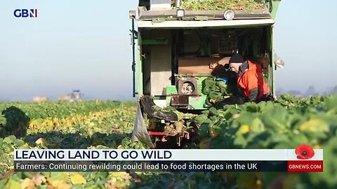 Landowners payed to swap fields of food for wastelands - UK