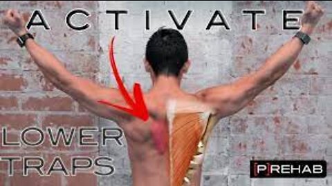 3 exercises to activate your Lower Traps - Tim Keeley - Physio REHAB