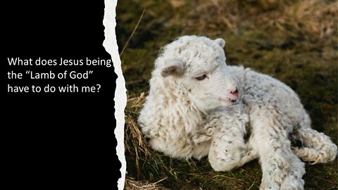 Sermon Only | What does Jesus being the "Lamb of God" have to do with me? | 20220313