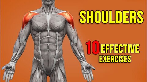 Shoulders Workout: 10 Effective Exercises For 360° |