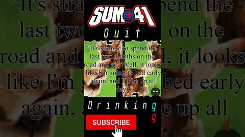 SUM 41 QUIT DRINKING