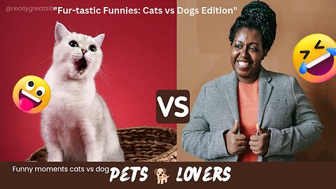 Funny moments cats🐈 vs dogs🐕🤣🤣 |Fur-tastic Funnies: Cats vs Dogs Edition