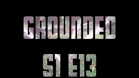 Grounded S1 E13 - To the Grill!