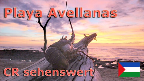 (164) Playa Avellanas - Sand, Strand, Mangroven, Sonnenuntergang | AUSWANDERN COSTA RICA GUANACASTE