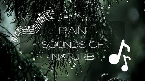 Rain sound with Thunder 60minutes Good for Relaxing, Sleeping, Studying and Concentration