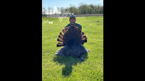 Indiana turkey hunt (close encounter)