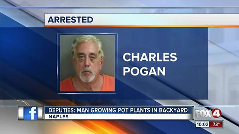Deputies: Man Growing Pot Plants in Backyard