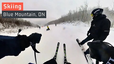 Skiing & Snowboarding | Blue Mountain, Ontario | Happy Valley Trail