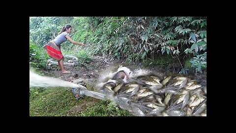 Catching Wild Fish Exciting, Easy Catch Big Fish With Big Pump That Pulls Water From Wild Lake Ep04