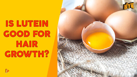 Top 3 Benefits Of Eggs For Your Hair