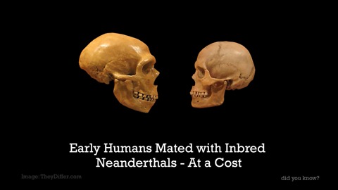 Early Humans Mated With Inbred Neanderthals And It's Still Affecting Our Health