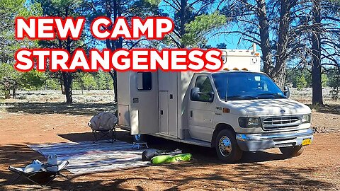 We Are Discovering Some Really Odd Fleet Finds At This Camp | Ambulance Conversion Life