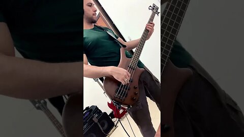 Apache Rose Peacock - Red Hot Chili Peppers (Bass Cover)