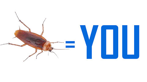THE W.H.O.'s One Health Plan says Your Life has the same value as a Cockroach.