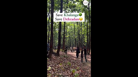 save your tree and forest 🙏🙏