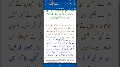 Hadees SHARIF Sahi bukhari SHARIF hadees number #333 in arbic urdu and English language