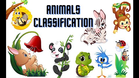 Animals Classification l Evolution l Biology l Animal Facts