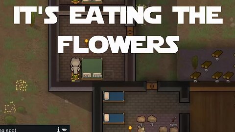 Lets Play Rimworld ep 6 - There's A Bull In Ship's Room And It's Eating His Flowers