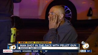 Man shot in face with pellet gun