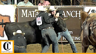 Wild Cow Milking 🐂 2023 Motley / Dickens Old Settlers Rodeo | Friday