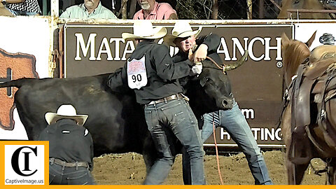 Wild Cow Milking 🐂 2023 Motley / Dickens Old Settlers Rodeo | Friday