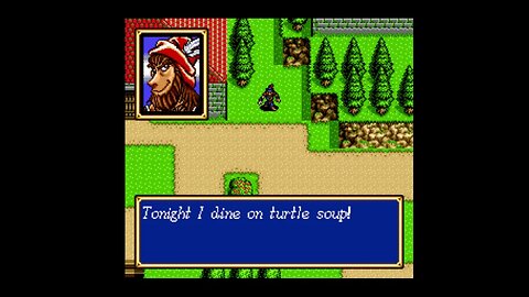 Favourite Shining Force 2 Force Member - Round 3 - Kiwi vs Gerhalt