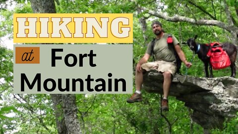 Hiking at Fort Mountain | Identifying Plants | Timber Rattlesnake.