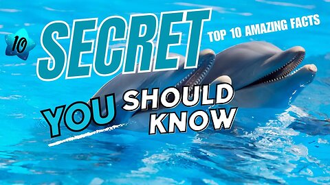 Top 10 Facts About Dolphins You Never Knew #shorts #trending #viral #short #facts #fact #dolphin