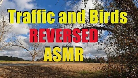 REVERSED White Noise Traffic and Birds on Hwy 122 at MM10 #ASMR