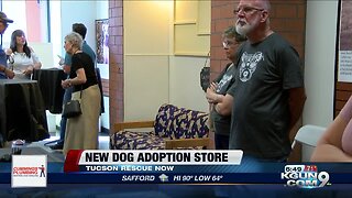 PACC volunteers redesign adoption for Tucson dog lovers