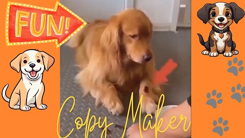 Funniest Copy Maker Pets