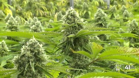Two petitions filed to legalize recreational marijuana in Missouri