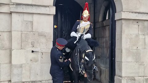 Copral comes to help #horseguardsparade