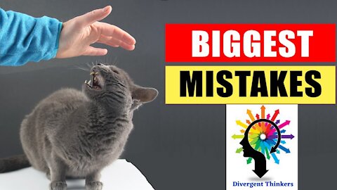 20 Common Mistakes Cat Owners Make